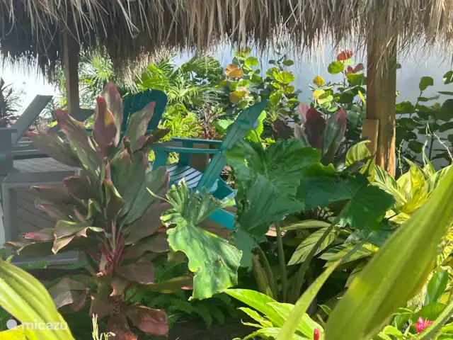 Jardin tropical